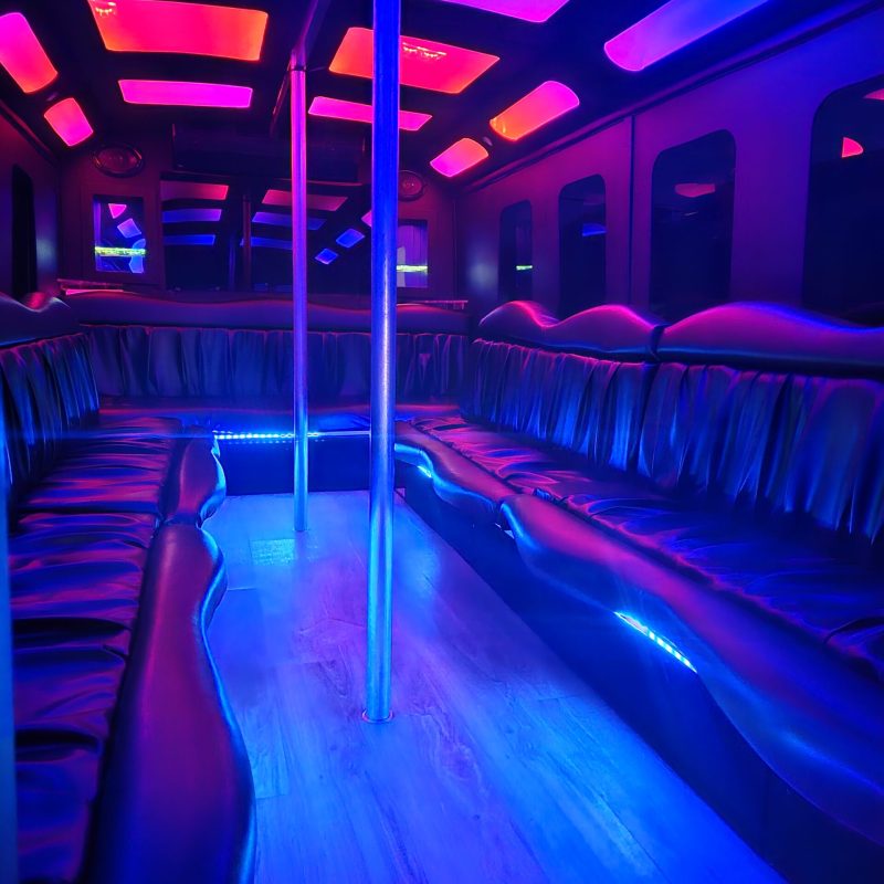New-Braunfels-party-bus-inside-view-for-up-to-20-passengers