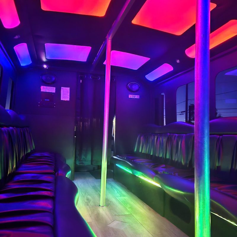 New-Braunfels-party-bus-interior-view-for-up-to-20-passengers